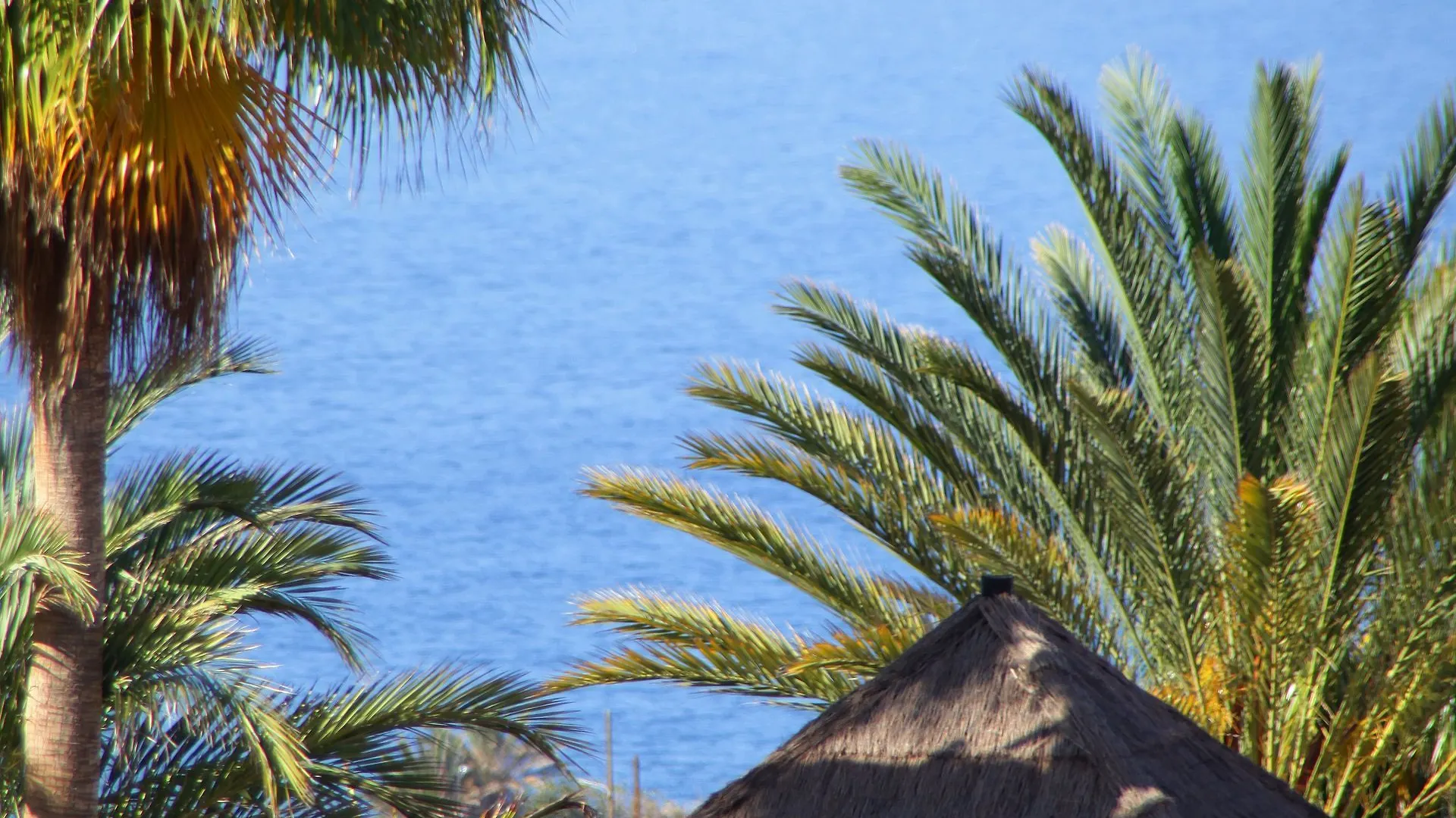 Bahia Principe Sunlight Costa Adeje Hotel Spanien